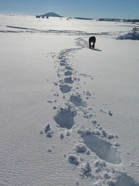 janvier photos hiver